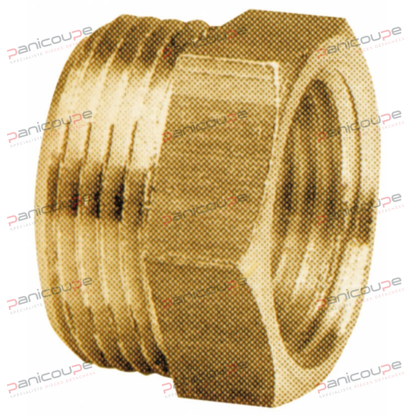 REDUZIERTE M&Auml;NNLICH-FRAUEN-BRUSTWARZEN Produktbild