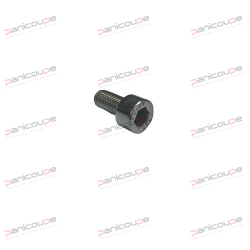 BTR Schraube M6x12 Edelstahl Befestigung PP Produktbild