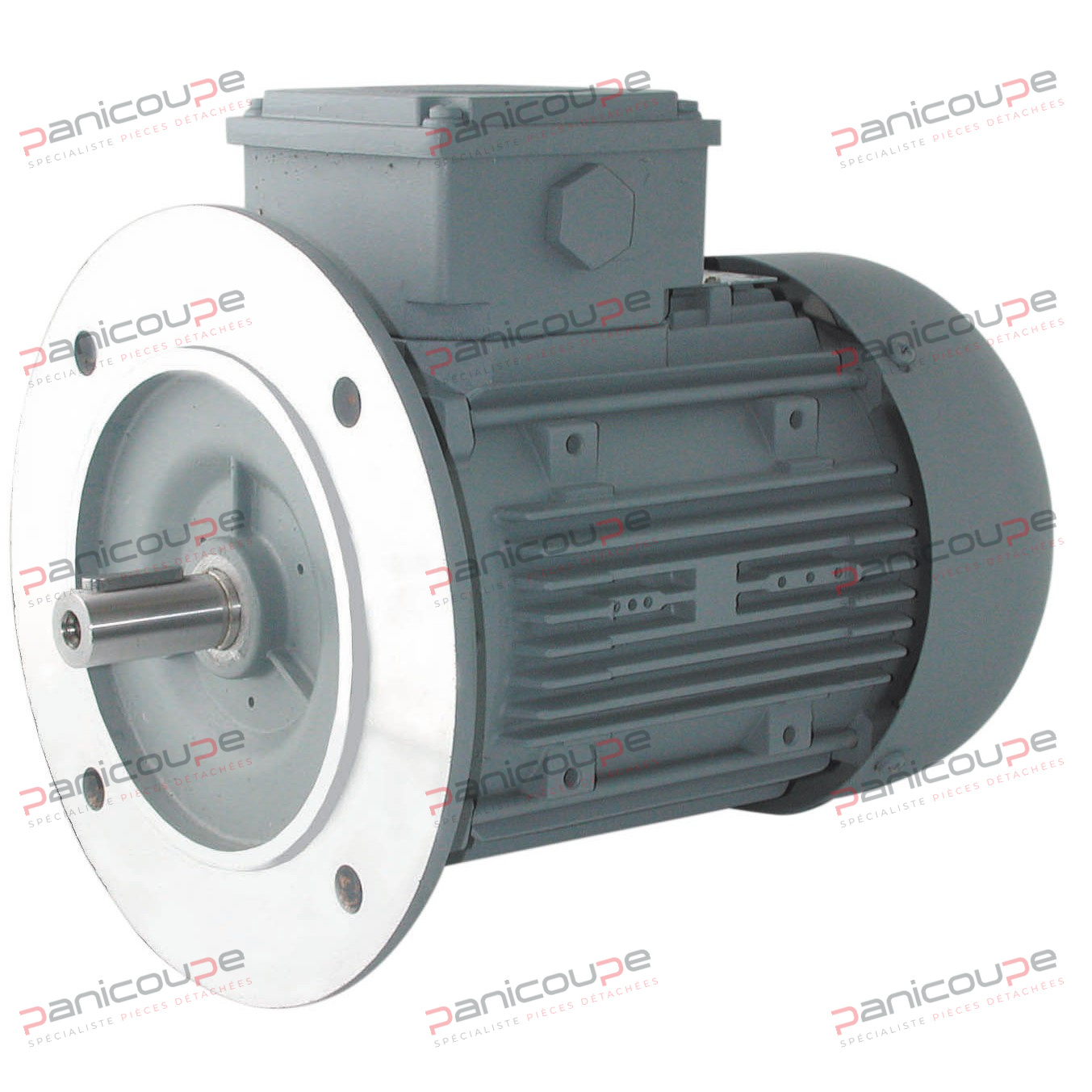 MOTEURS ASYNCHRONES FIXATION B5 Produktbild