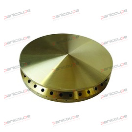 Kappen mit 100 mm Durchmesser f&uuml;r vertikale Flammen Produktbild