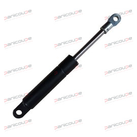 250N Gasfeder Produktbild