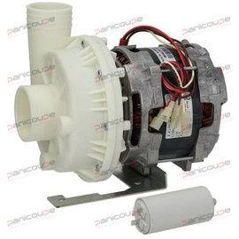 ZF400SX 1,50 PS Elektropumpe Produktbild