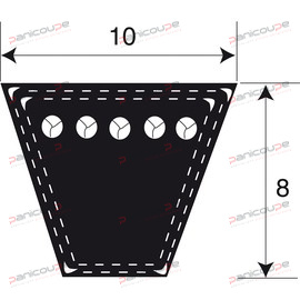 TRAPEZOIDALES ETROITES SERIE SPZ Produktbild