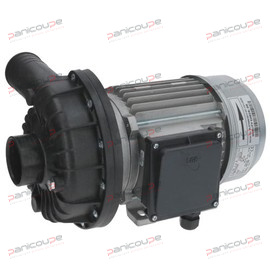 ZF800DX Elektropumpe Produktbild